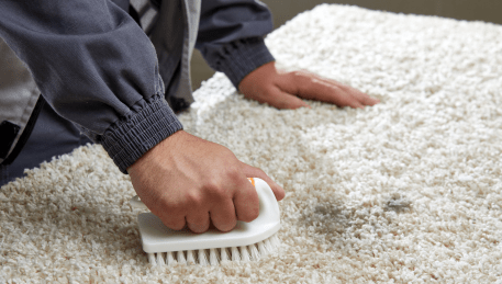 Professional Rug Cleaning Derrimut